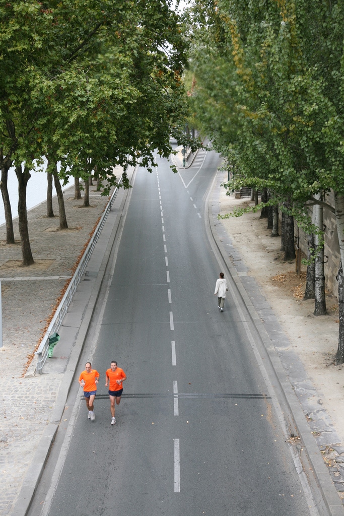 Justice : Le TA annule la fermeture à la circulation des voies sur les berges de la rive droite